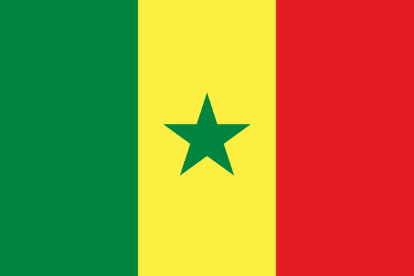 Senegal National Flag 3x5ft — World Cup 2026