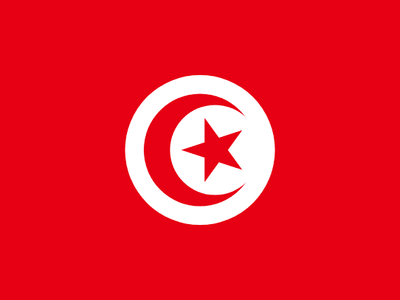 Tunisia National Flag 3x5ft — World Cup 2026