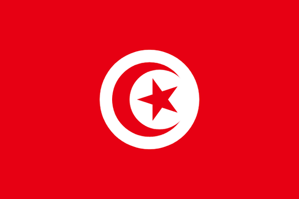 Tunisia National Flag 3x5ft — World Cup 2026