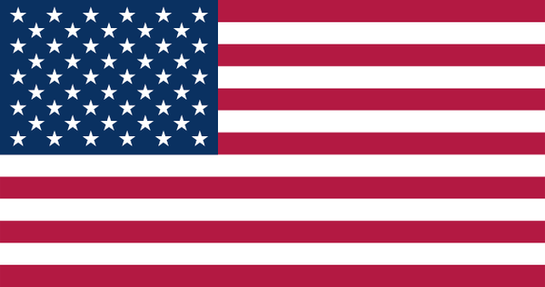 USA National Flag 3x5ft — World Cup 2026